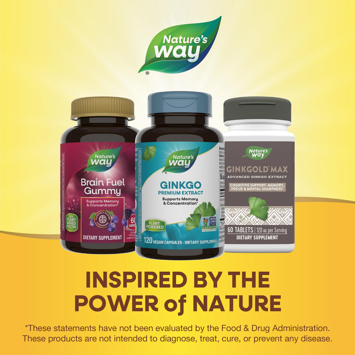 Nature's Way Ginkgo Biloba Extract Memory and Concentration - 120 Capsules - image 7
