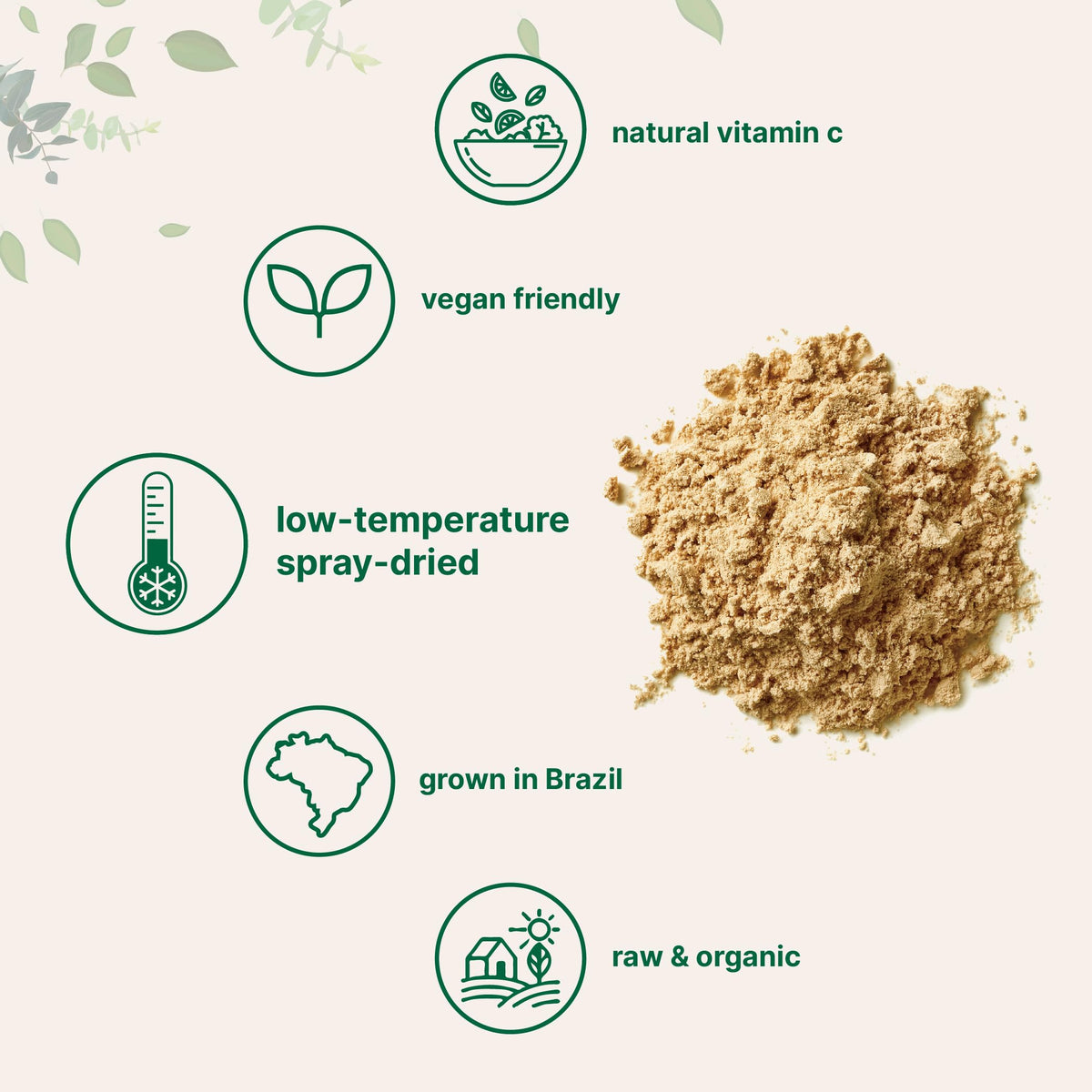 Micro Ingredients Organic Acerola Powder - 8 oz - image 4
