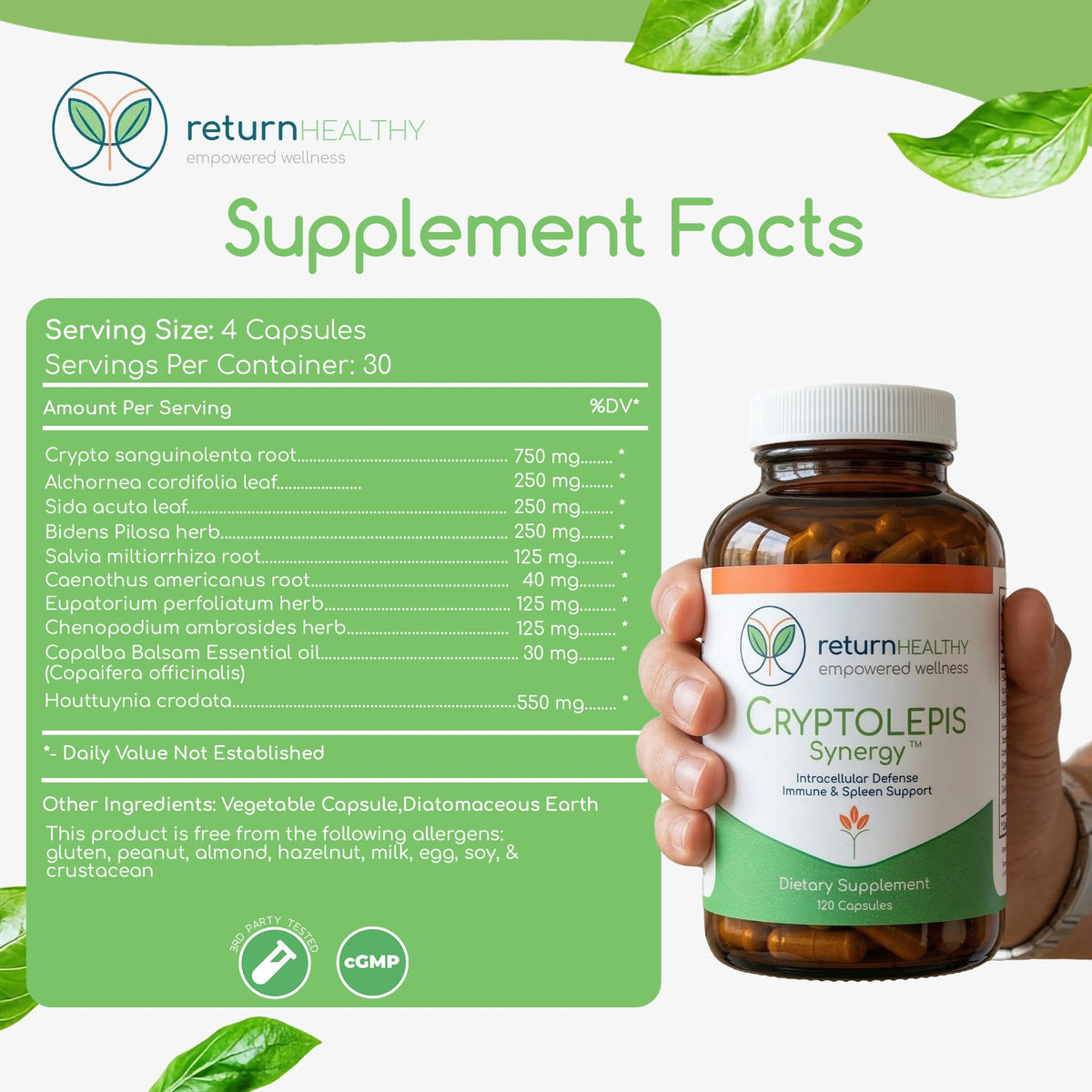 Return Healthy Cryptolepis Synergy Immune Support - 120 Capsules - image 7