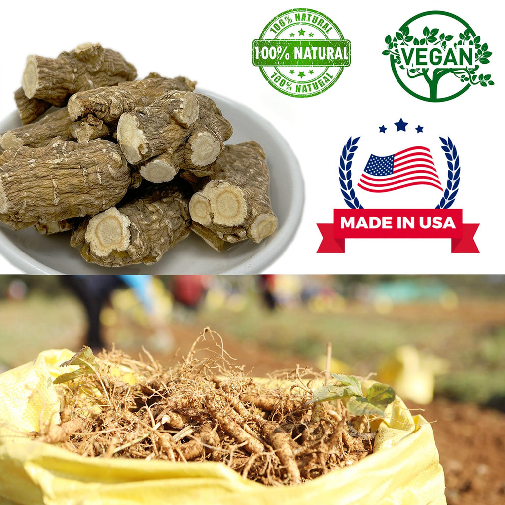 DABC OAK LAND American Ginseng from Wisconsin