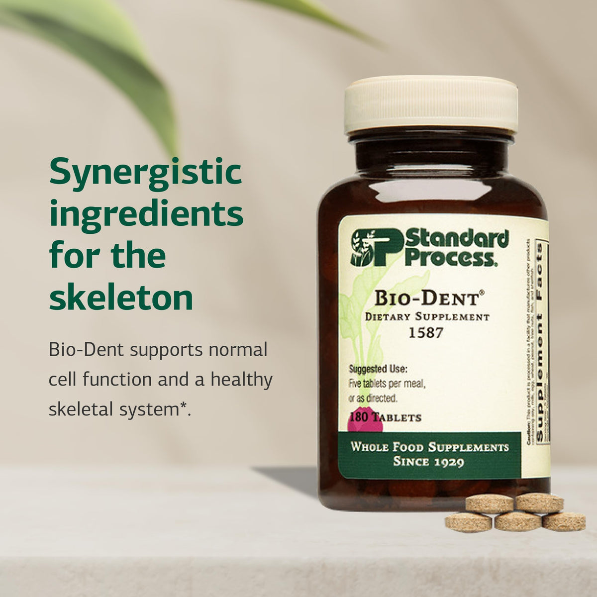 Standard Process Bio-Dent Skeletal Health Supplement - 180 Tablets - image 3