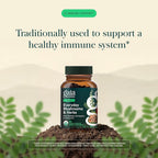 Gaia Herbs Everyday Immune Herbal Supplement - 60 Vegan Capsules - image 3