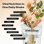 BODi Plant Based Protein
