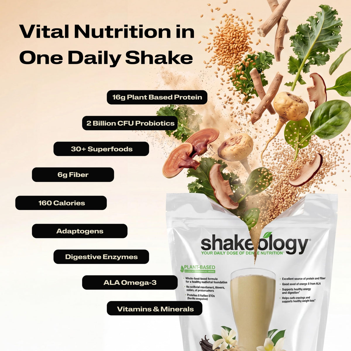 BODi Plant Based Protein