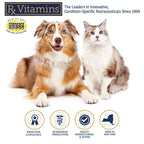Rx Vitamins NutriGest Probiotic Powder for Cats & Dogs - 4.65oz - image 9