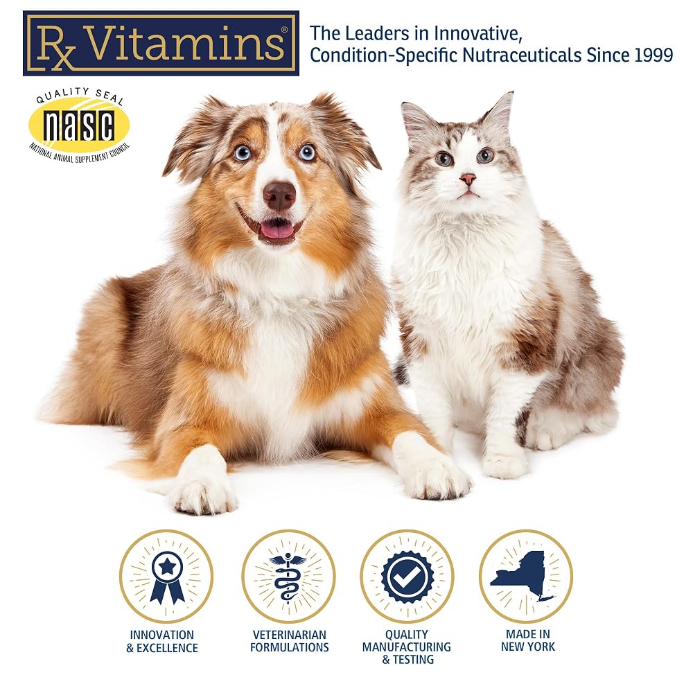 Rx Vitamins NutriGest Probiotic Powder for Cats & Dogs - 4.65oz - image 9