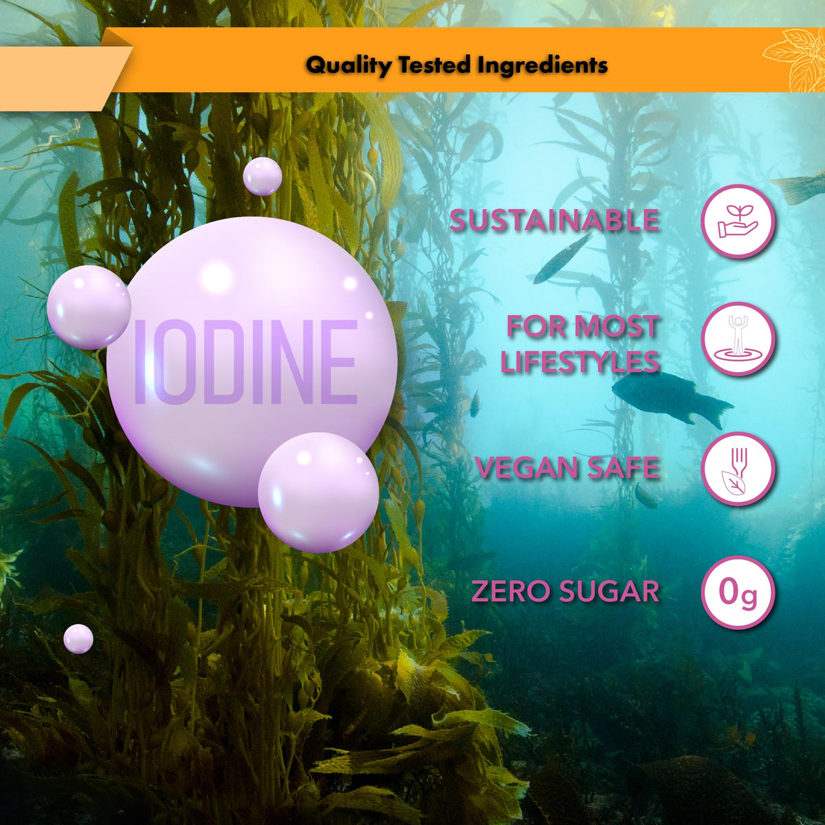 Buried Treasure Iodine Drops from Kelp Thyroid Support - 2 fl oz - image 7