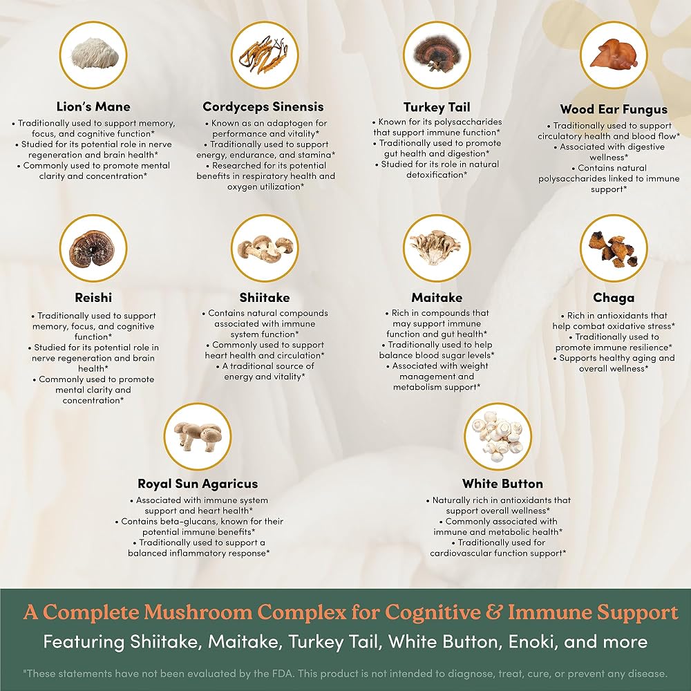 nootrimind Lions Mane Mushroom Supplement Capsules - 60 Count - image 5