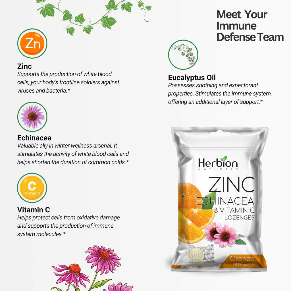 HERBION Naturals Zinc