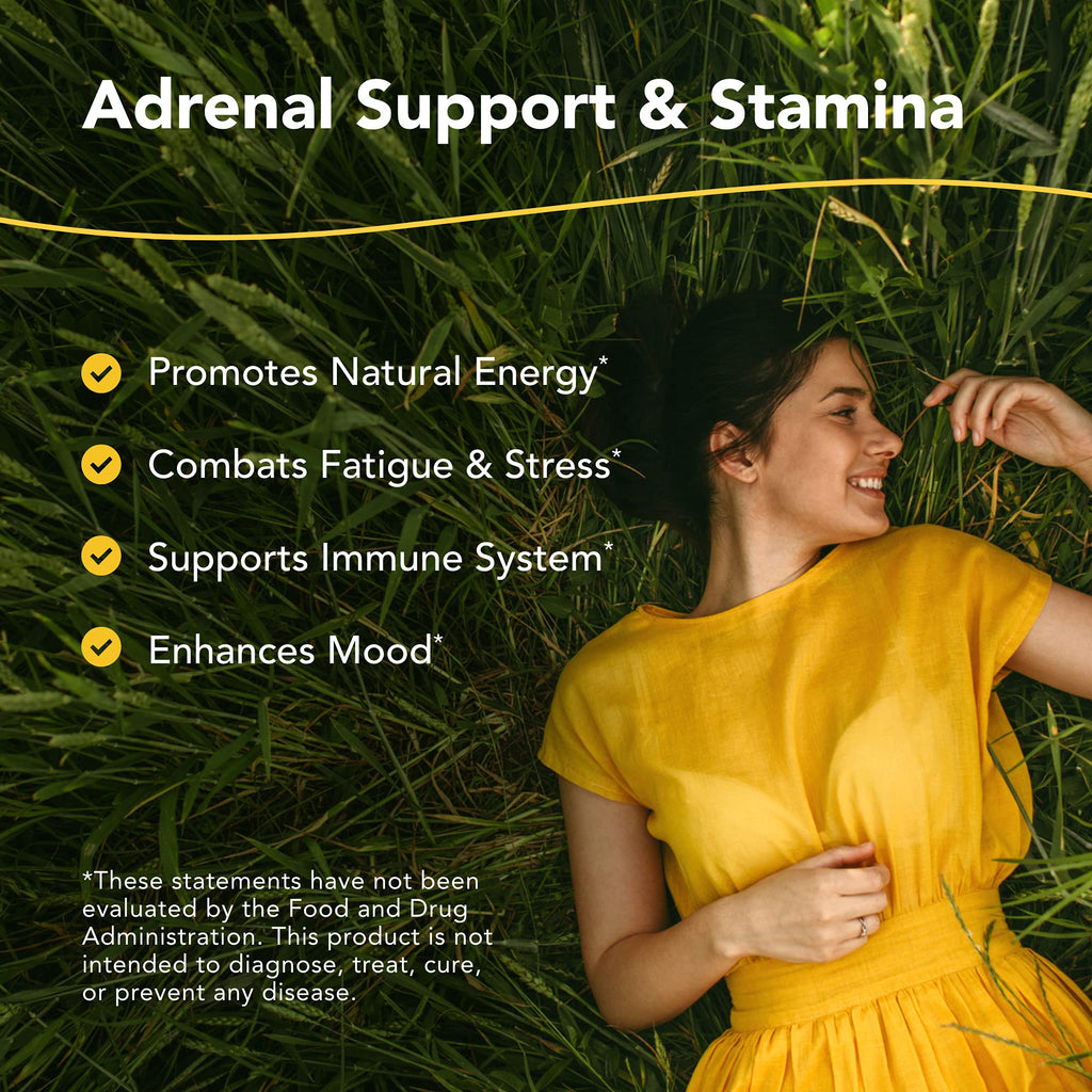 North American Herb & Spice Ashadrene Capsules