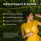North American Herb & Spice Ashadrene Capsules