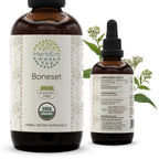 HerbEra Boneset USDA Organic Tincture