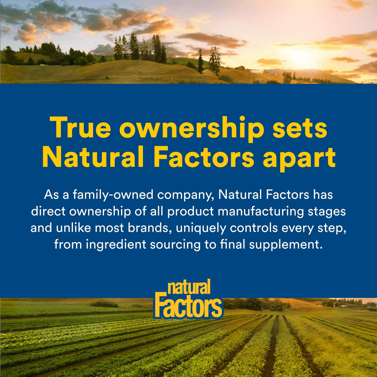 Natural Factors Omega Factors Flaxseed Oil - 180 Softgels - image 7