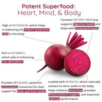 Happy Healthy Hippie Organic Beet Root Capsules 1,300 mg - 60 Count - image 7