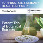 Tesseract ProstaSorb Prostate Support for Men - 60 Capsules - image 5