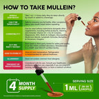NUTRAHARMONY Mullein Drops for Lungs - USDA Organic Liquid - Mullein