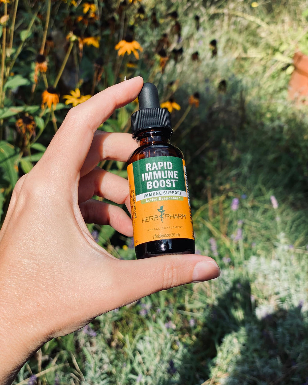 Herb Pharm Rapid Immune Boost Echinacea Tincture - 4 Fl Oz - image 4