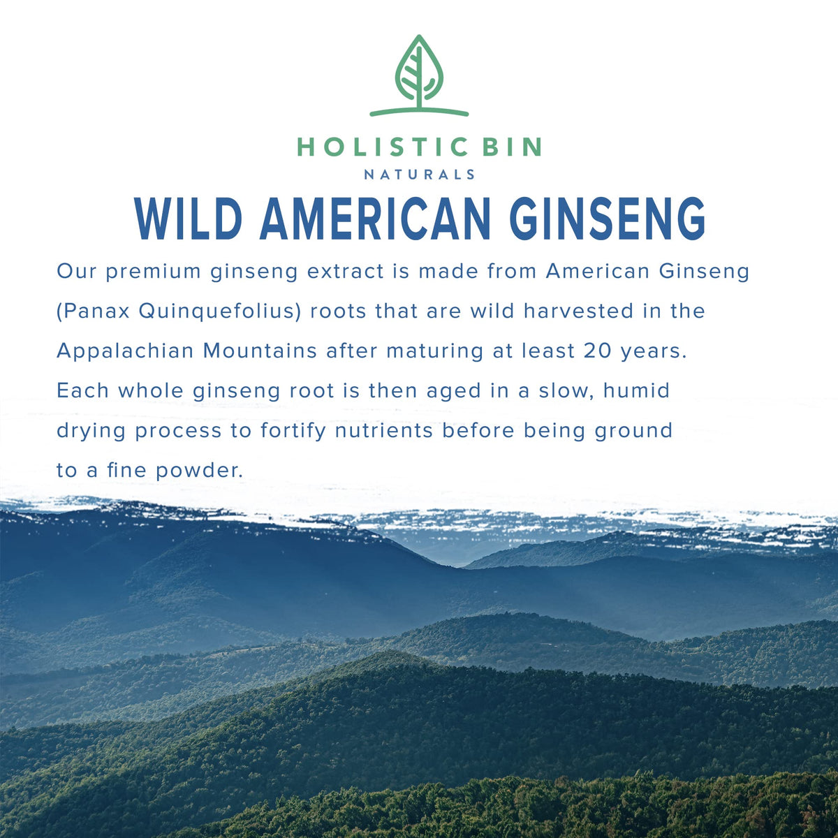 Holistic Bin Korean Red Ginseng