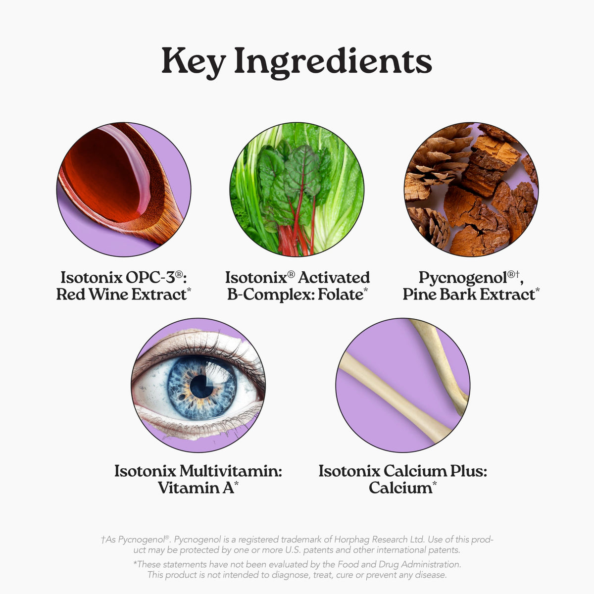 Isotonix Daily Essentials Multivitamin Powder - 30 Packets - image 2