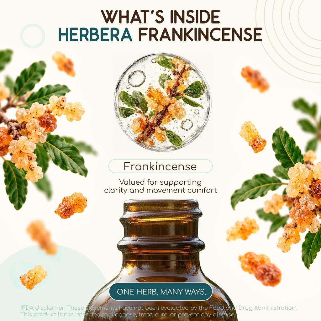 HerbEra Frankincense Alcohol-Free Herbal Extract Tincture