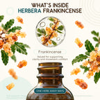 HerbEra Frankincense Alcohol-Free Herbal Extract Tincture