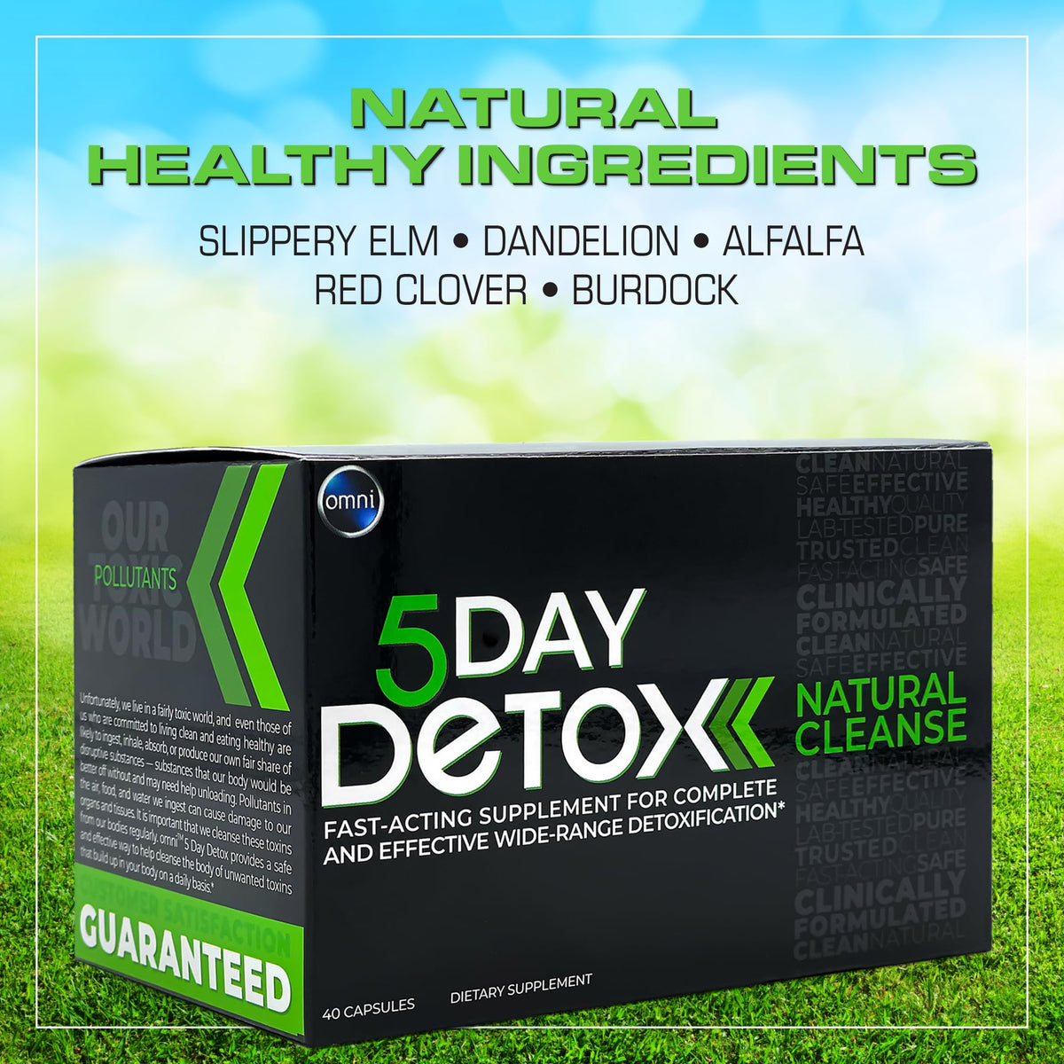 Wellgenix Omni 5 Day Detox Cleanse - Premium Natural Body Detox - image 10