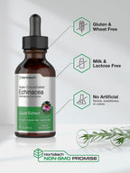 Horbäach Echinacea Drops Herb Tincture - 2 fl oz - image 5