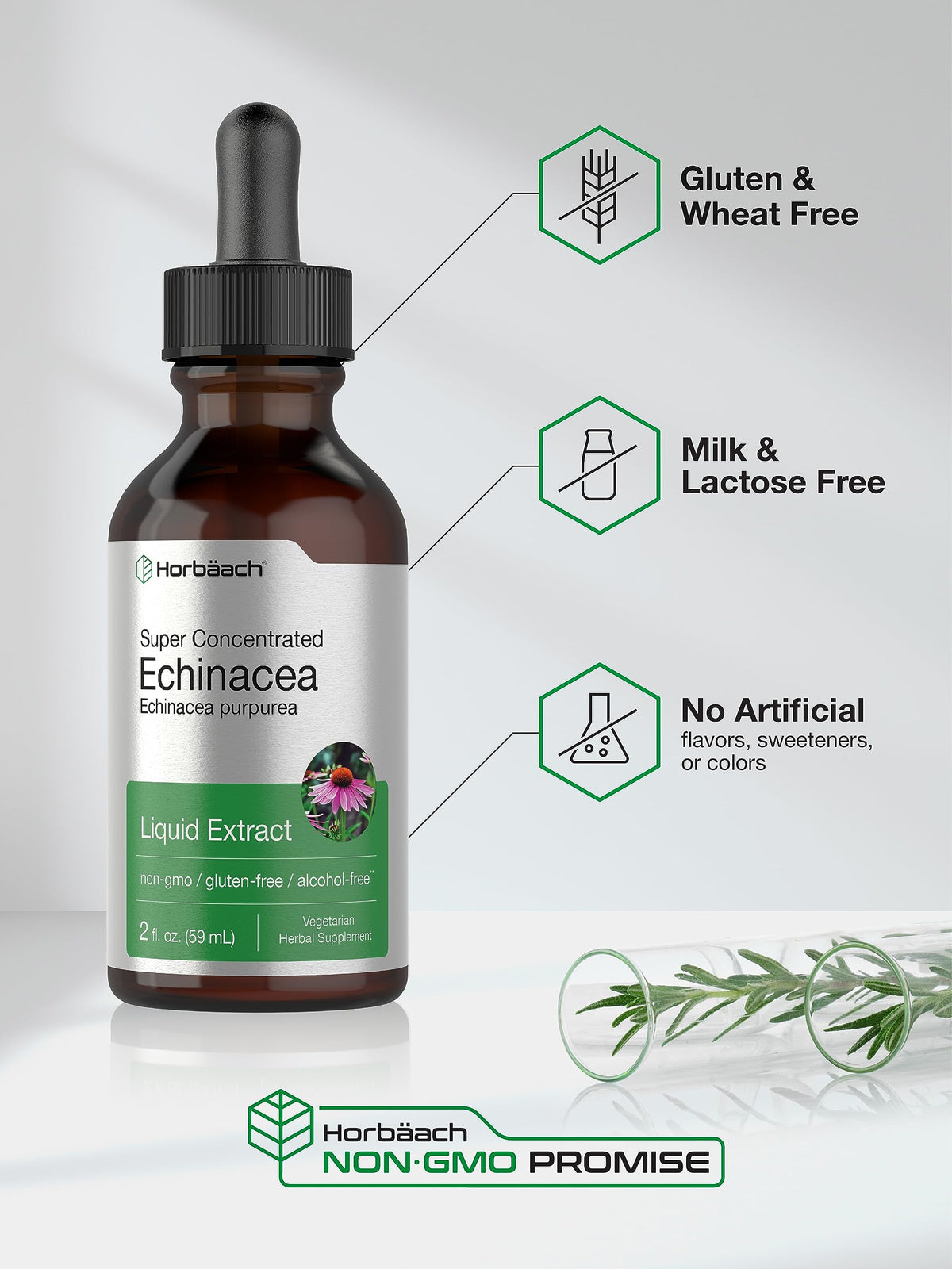 Horbäach Echinacea Drops Herb Tincture - 2 fl oz - image 5