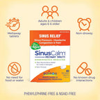 Boiron SinusCalm Meltaway Tablets for Sinus Relief - 100 Count - image 3