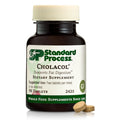 Standard Process Cholacol Gallbladder & Fat Digestion Support - 90 Tablets