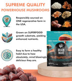 BRAIN WAVE Superfood Mushroom Gummies for Focus and Energy - 60 Count - image 8