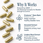 Purity Products MyBladder Support Formula Capsules - 60 Count - image 6