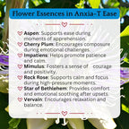 Herb Lore Anxia-T Ease Tincture Herbal Mood Support - 4 fl oz - image 5