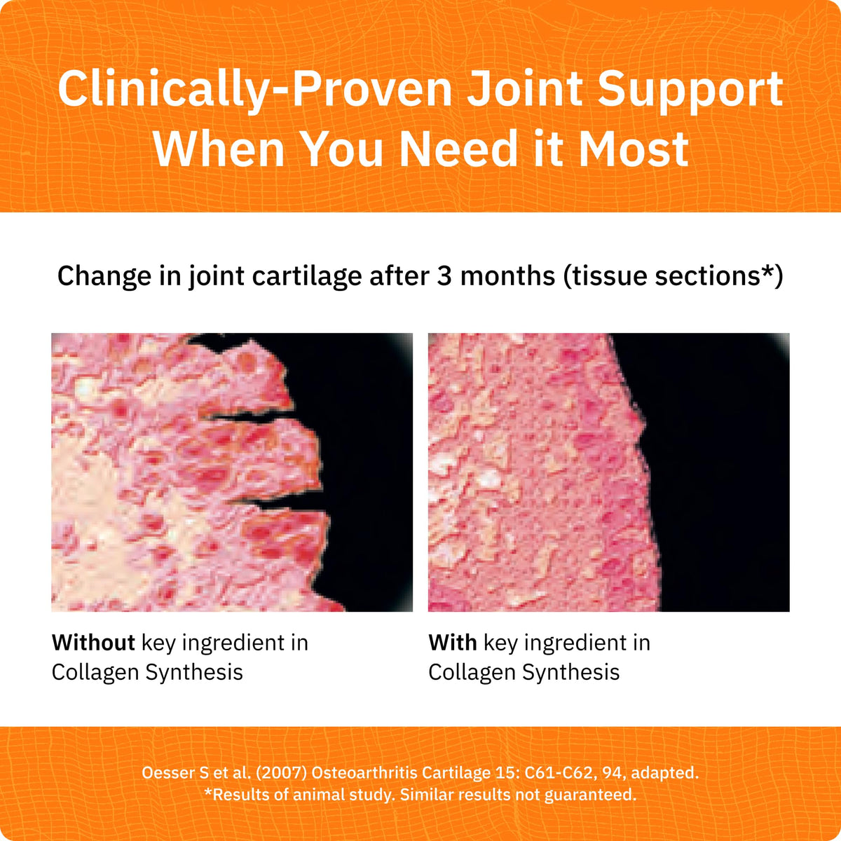 SaltWrap Collagen Synthesis Peptides Joint Recovery - 10.9 oz - image 3