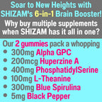 SHIZAM Alpha GPC Huperzine A Brain Support Gummies - 60 Count - image 2