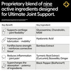 Campio All-In-1 Joint Support Supplement - 90 Capsules - image 5