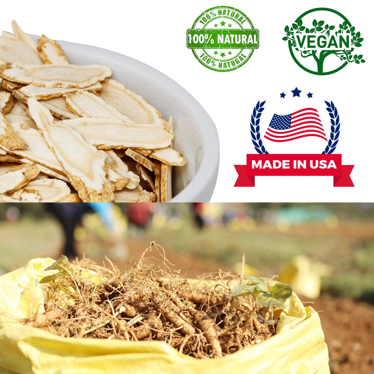 DABC OAK LAND American Ginseng Slices from Wisconsin