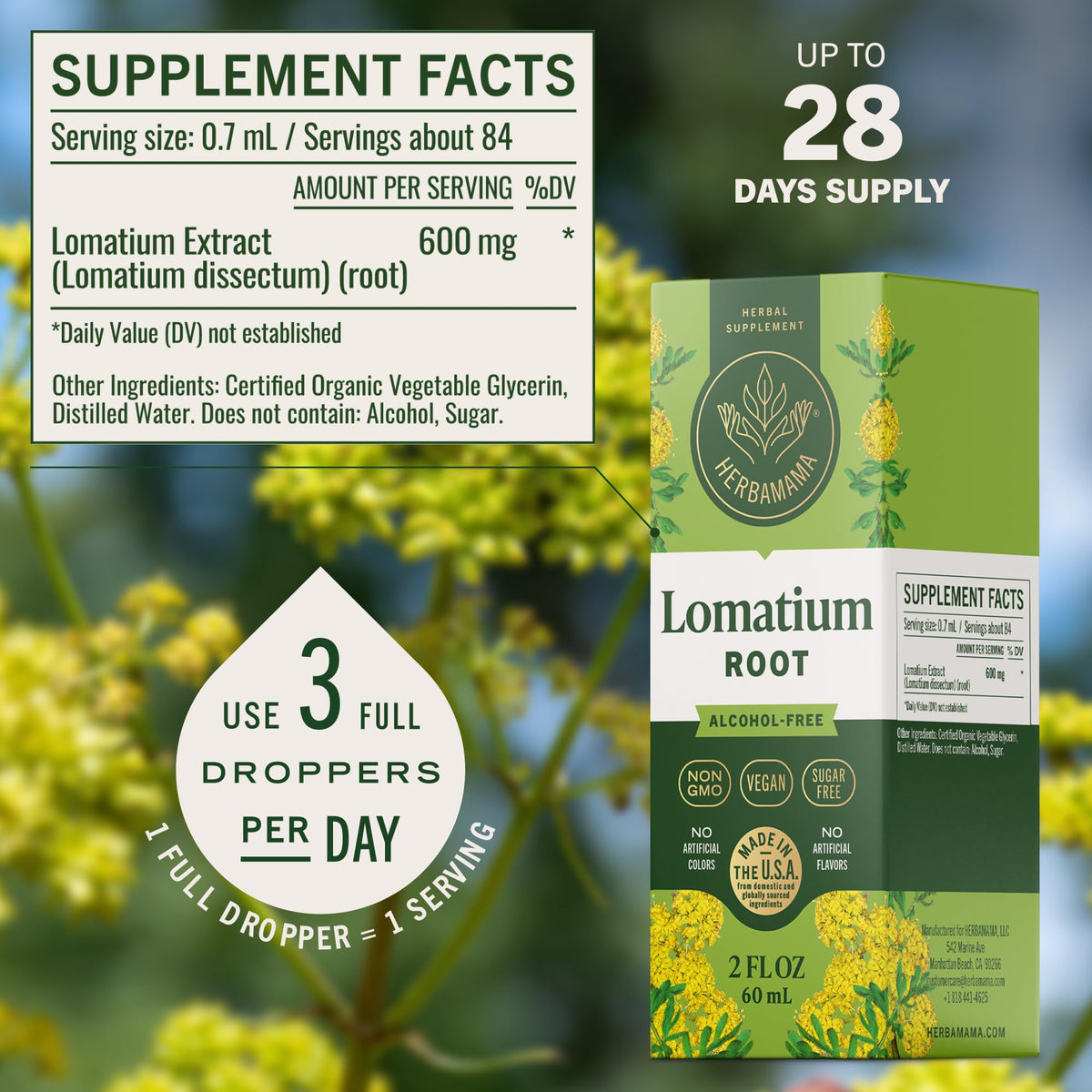 HERBAMAMA Lomatium Root Tincture for Lung Support - 2 Fl Oz - image 3