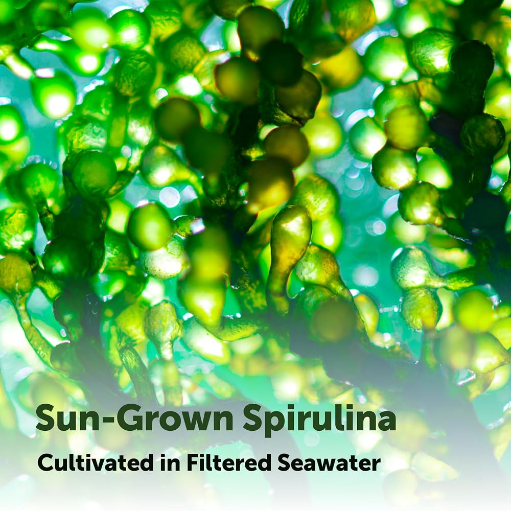 Micro Ingredients Organic Spirulina Supplement - 720 Tablets - image 5