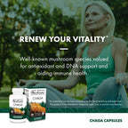 Host Defense Chaga Capsules Immune Support - 120 Capsules - image 5