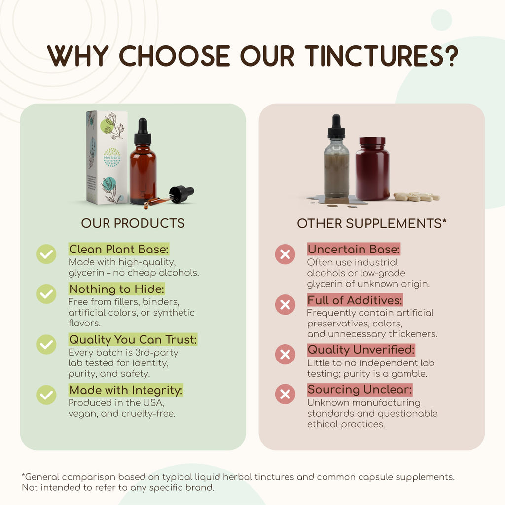 HerbEra Teasel Alcohol-Free Herbal Extract Tincture