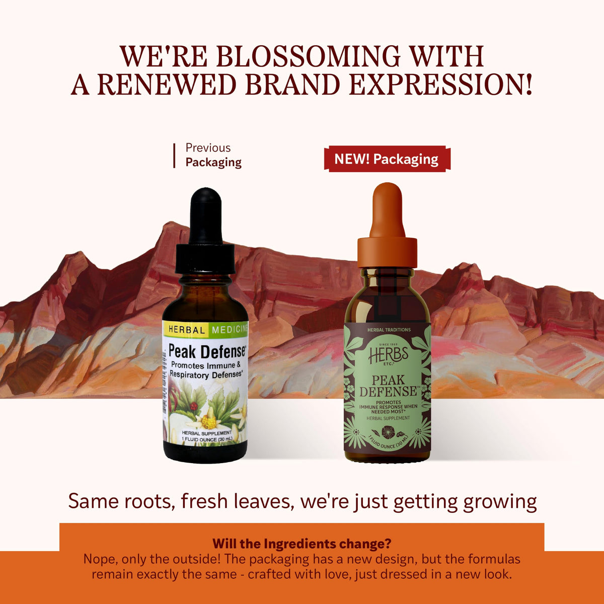 Herbs Etc. Peak Defense Liquid Extract Immune Support - 1 fl oz - image 2