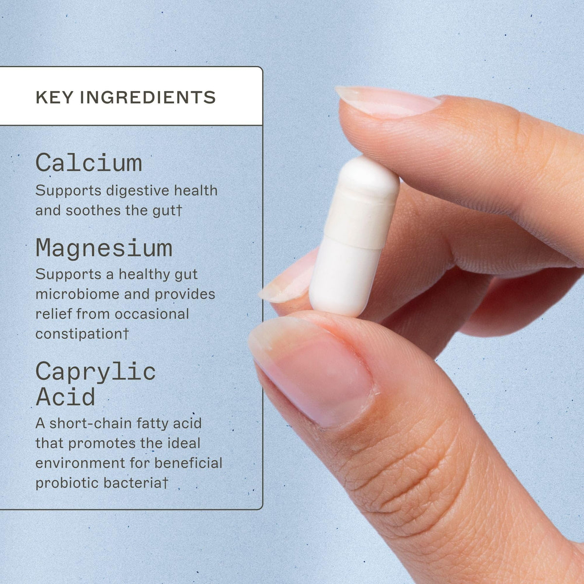 Amy Myers MD Caprylic Acid Digestion Support - 120 Capsules - image 3
