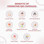 Foods For Gut Coenzyme Q10-Ubiquinone 200mg - 120 Vegetarian Capsules - image 5