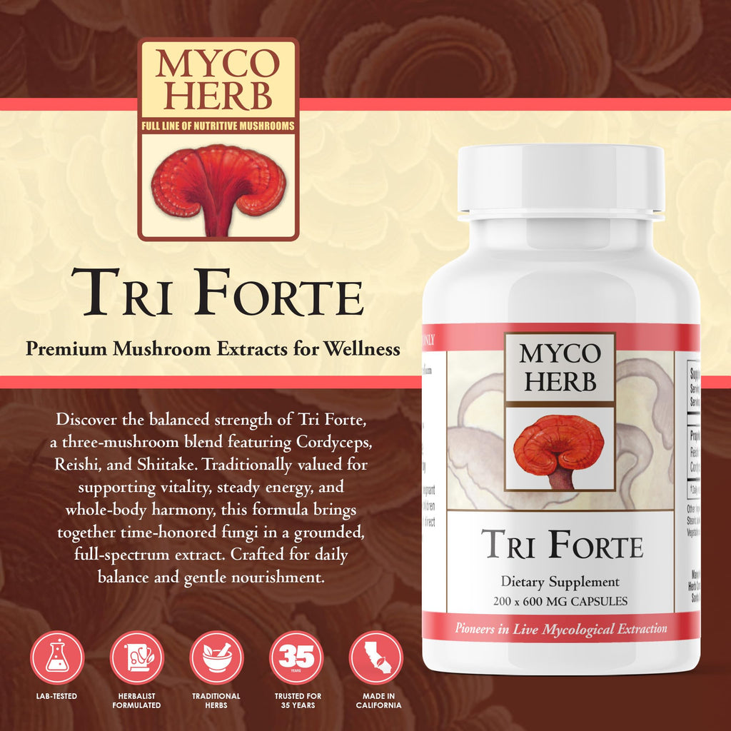 Kan Herbs Tri Forte Three-Mushroom Extract Vitality - 120 Tablets - image 2