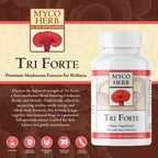 Kan Herbs Tri Forte Three-Mushroom Extract Vitality - 120 Tablets - image 2