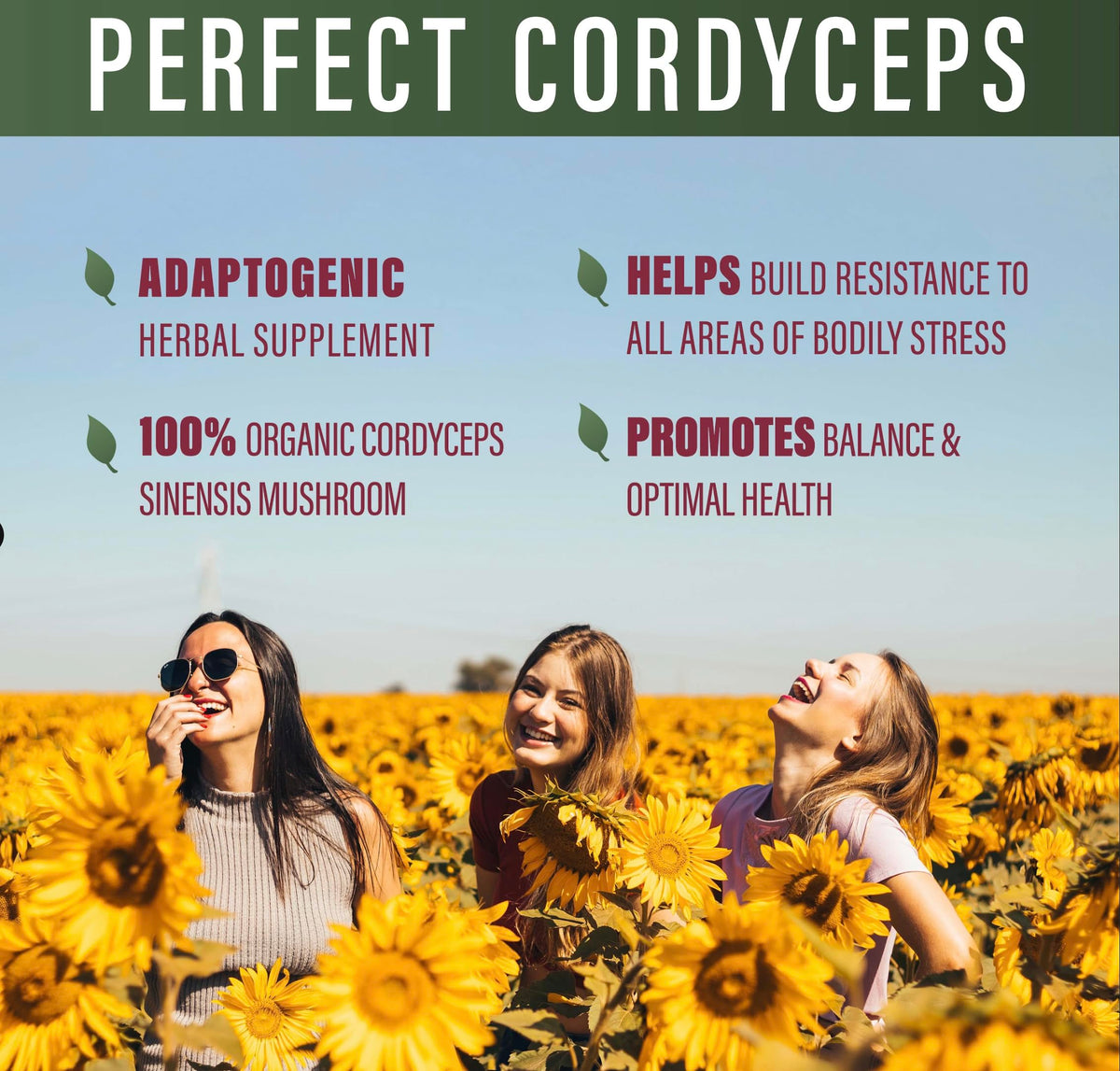 Perfect Supplements Cordyceps Organic Adaptogenic Herbal Supplement - image 4