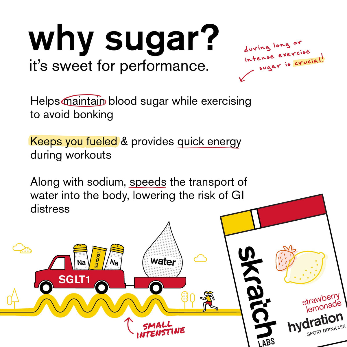 Skratch Labs Hydration Sports Drink Mix