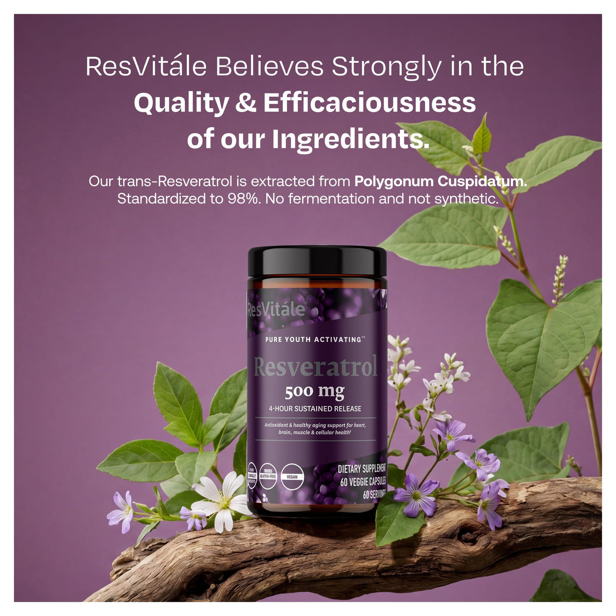 ResVitale NUTRITIONAL_SUPPLEMENT