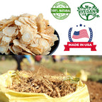 DABC OAK LAND American Ginseng Slices from Wisconsin